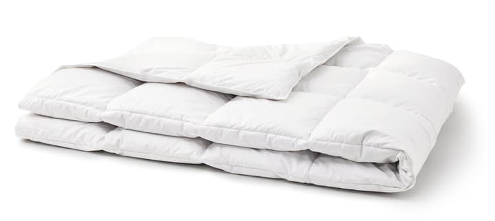 OPTIMADAUN medium warm Couette pour toute l’année avec 60% de duvet OPTIMADAUN medium warm Couette pour toute l’année avec 60% de duvet 451745612710 Couleur Blanc Dimensions L: 240.0 cm x P: 240.0 cm Photo no. 1