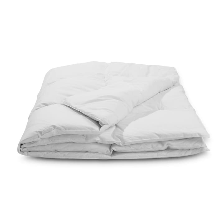 CLASSIC WARM Hochwertiges Gänsedaunenduvet mit Milbenschutz CLASSIC WARM Hochwertiges Gänsedaunenduvet mit Milbenschutz 376052500000 Grösse L: 210.0 cm x B: 200.0 cm Farbe Weiss Bild Nr. 1