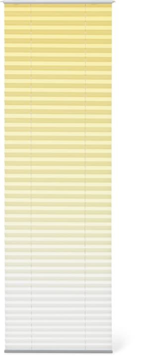 HORIZON Store plissé HORIZON Store plissé 430747210050 Couleur Jaune Dimensions L: 100.0 cm x H: 160.0 cm Photo no. 1