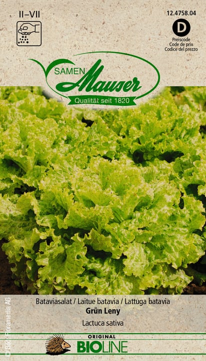 Image of Samen Mauser BIO Bataviasalat Grün Leny Gemüsesamen