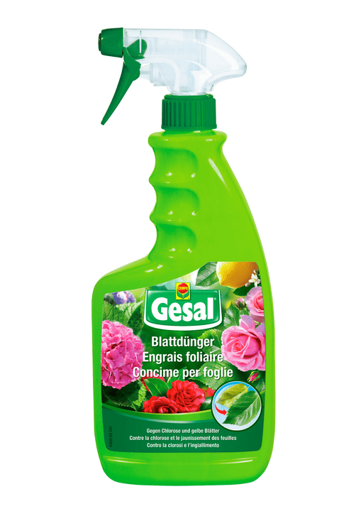 Image of Compo Gesal Blattdünger, 750 ml Flüssigdünger bei Do it + Garden von Migros