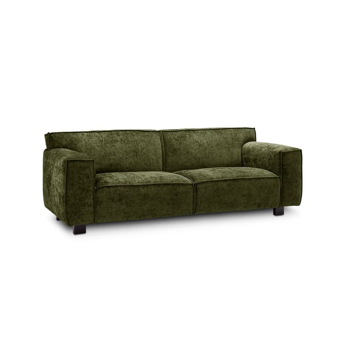 VESTA Eros 2.5er Sofa VESTA Eros 2.5er Sofa 360032705401 Grösse B: 216.0 cm x T: 96.0 cm x H: 74.0 cm Farbe Grün Bild Nr. 1