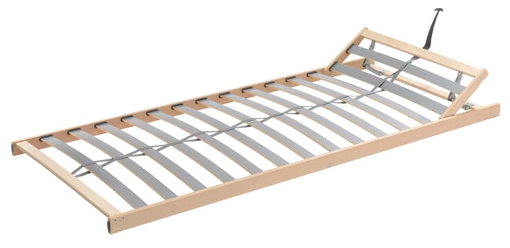 MICAFLEX Standard Sommier MICAFLEX Standard Sommier 403324890000 Largeur 90.0 cm Longueur 200.0 cm Photo no. 1