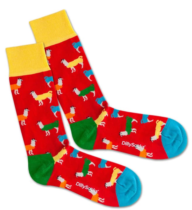 Dilly Socks Lava Lama T. 36-40 Dilly Socks Lava Lama T. 36-40 396129000000 Photo no. 1