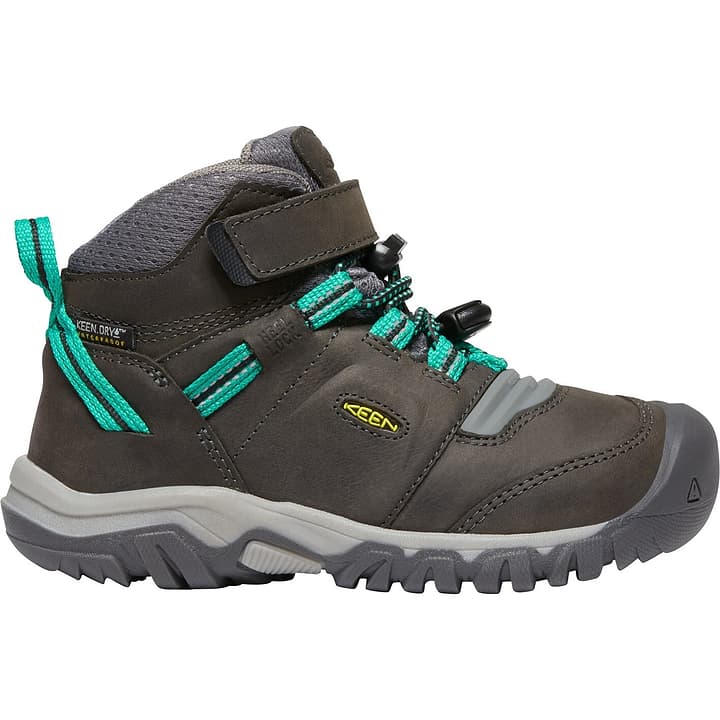 Image of Keen Ridge Flex Mid WP Wanderschuhe grün bei Migros SportXX