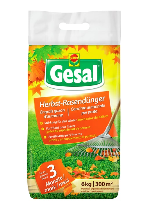 Compo Gesal HerbstRasendünger, 6 kg kaufen bei Do it + Garden