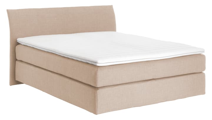 NAVIER Boxspringbett NAVIER Boxspringbett 403481800000 Grösse B: 160.0 cm x T: 200.0 cm Farbe Beige Bild Nr. 1
