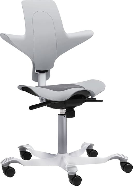 Bürostuhl CAPISCO PULS