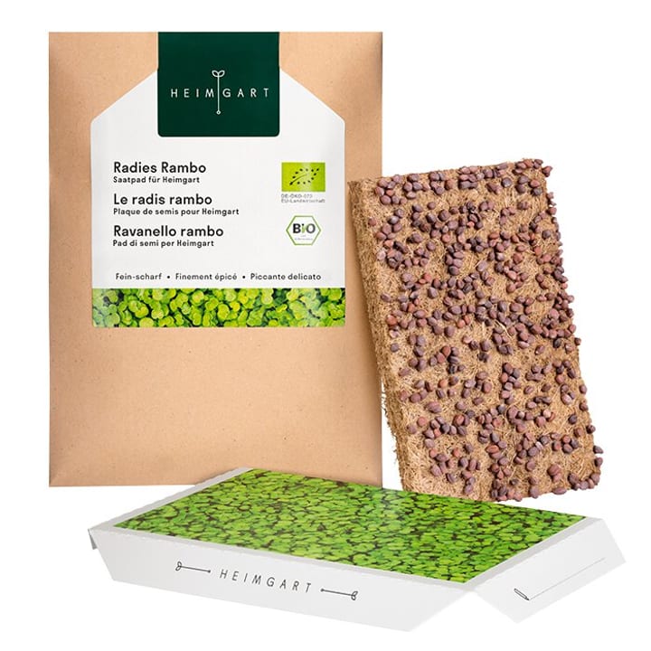 Image of Heimgart Radieschen Rambo Sprossen und Keimlinge bei Do it + Garden von Migros