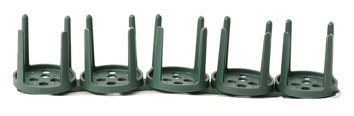 Image of I AM CREATIVE Steckformhalter mit Knetkleber bei Do it + Garden von Migros