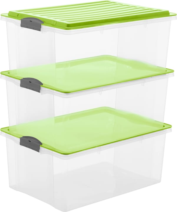 Rotho Compact 38 l mit Deckel, A3, 3er-Set Aufbewahrungsbox - kaufen