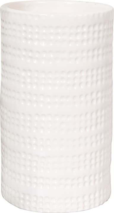 Image of spirella Zahnbecher Venise bei Do it + Garden von Migros