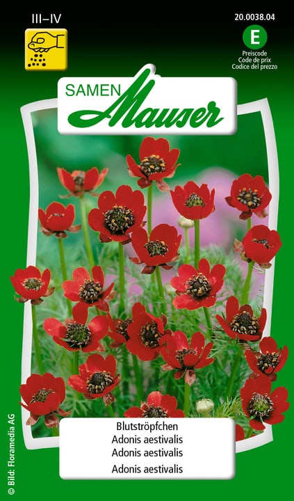 Image of Samen Mauser Blutstroepfchen Blumensamen