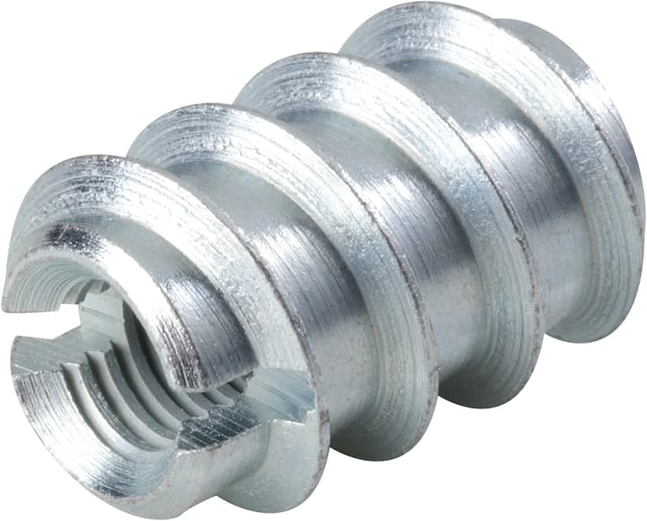 Do it + Garden DADO A VITE RAMPA ZINC. M5X10X15MM 10PZ DADO A VITE RAMPA ZINC. M5X10X15MM 10PZ Do it + Garden 605856300000 Taglio M 5 x 10 x 15 mm N. figura 1