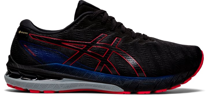 Image of Asics Gt-2000 GTX 10 Runningschuhe grau