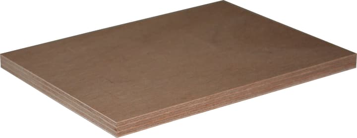 Compensato Okoume Compensato Okoume 640138400000 Spessore 19.0 mm N. figura 1