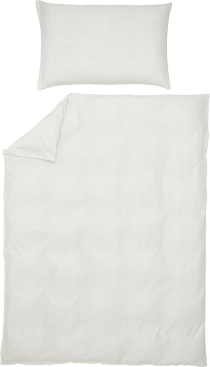 JADEN Federa per cuscino raso JADEN Federa per cuscino raso 451293110881 Colore Grigio chiaro Dimensioni L: 70.0 cm x A: 50.0 cm N. figura 1