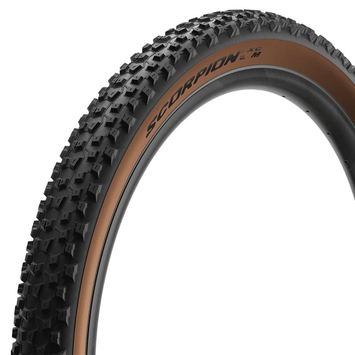 Image of Pirelli Scorpion XC H Pro Veloreifen braun bei Migros SportXX