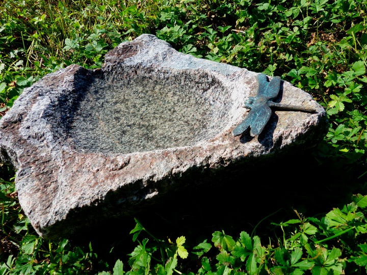 Image of Bronze Libelle Vogeltränke