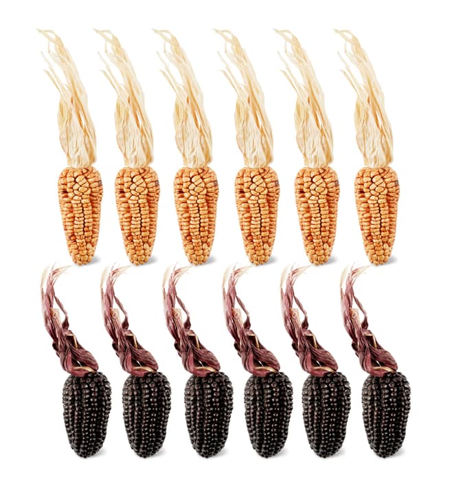 Image of Ziermais Mix (12er Set) Herbstdeko bei Do it + Garden von Migros