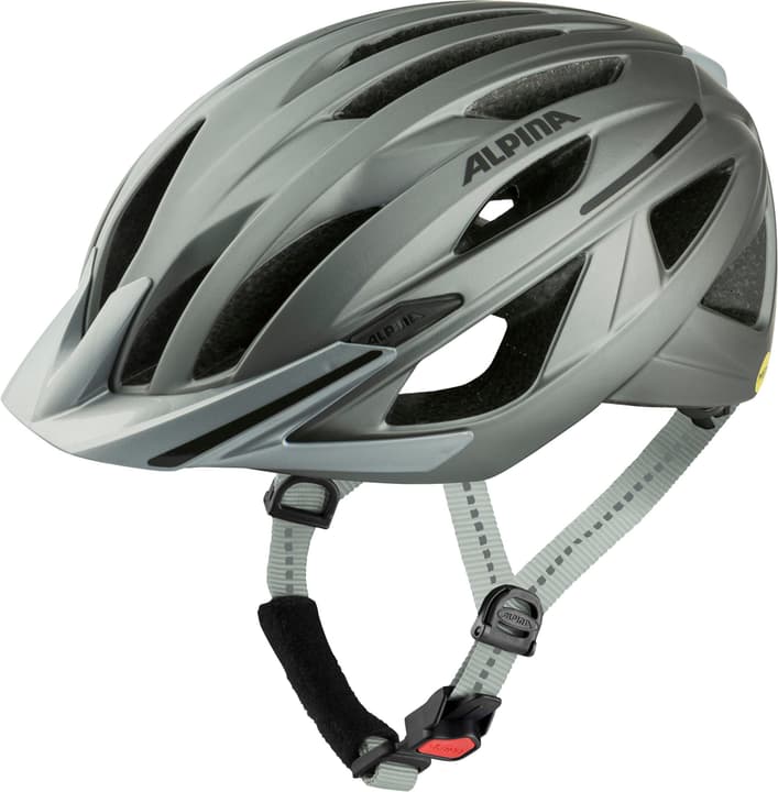 Image of Alpina Gent Mips Velohelm silber