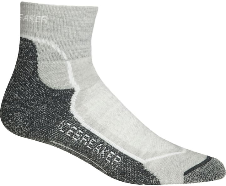 Icebreaker Hike+ Light Cushion Mini Damen-Trekkingsocken Hike+ Light Cushion Mini Damen-Trekkingsocken Icebreaker 497147435081 Farbe Hellgrau Grösse 35-37 Bild-Nr. 1