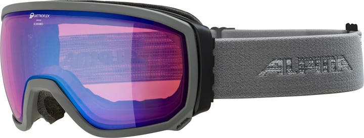 Image of Alpina Scarabeo Q Skibrille / Snowboardbrille grau