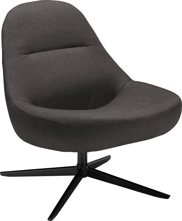 BOSCH Fauteuil BOSCH Fauteuil 402464707084 Couleur Anthracite Dimensions L: 72.0 cm x P: 77.0 cm x H: 82.0 cm Photo no. 1