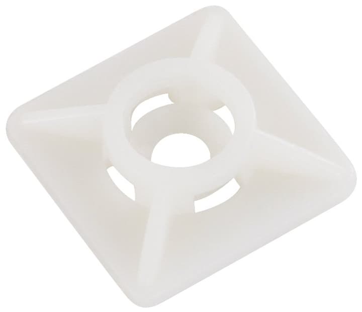 Image of Steffen Klebesockel 19 x mm 20 Stk. bei Do it + Garden von Migros