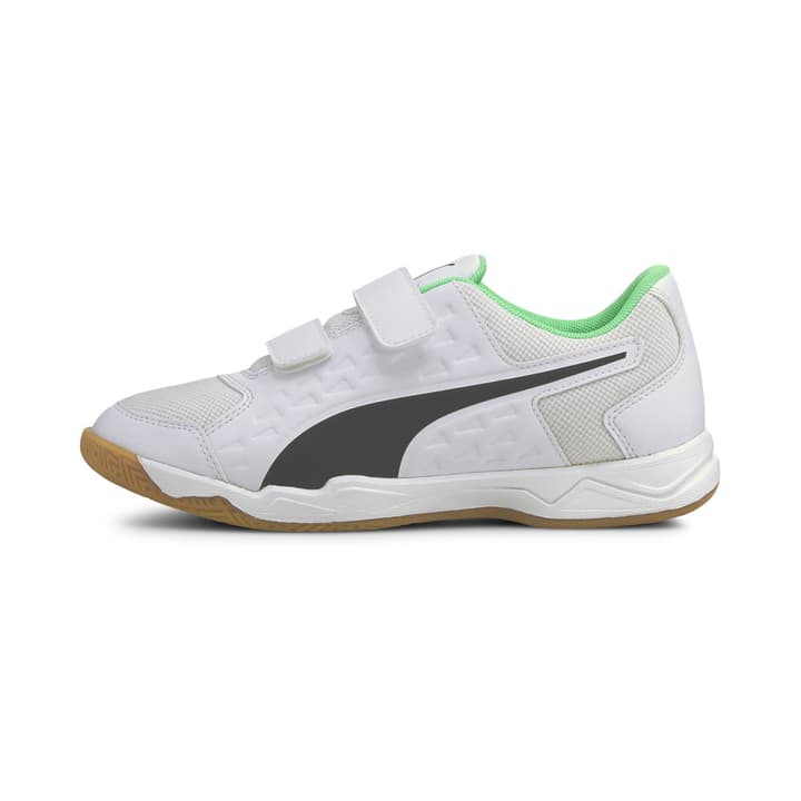 Image of Puma Auriz V Hallenschuhe weiss bei Migros SportXX