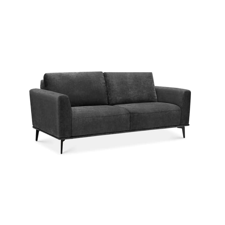 MERLOT 2.5er Sofa MERLOT 2.5er Sofa 360530325384 Grösse B: 195.0 cm x T: 94.0 cm x H: 81.0 cm Farbe Anthrazit Bild Nr. 1