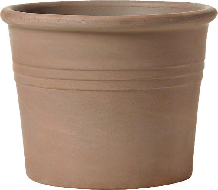 Deroma Vaso cilindrico in terracotta Vaso cilindrico in terracotta Deroma 659142000000 Taglio ø: 33.6 cm x A: 25.3 cm Colore Mocca N. figura 1