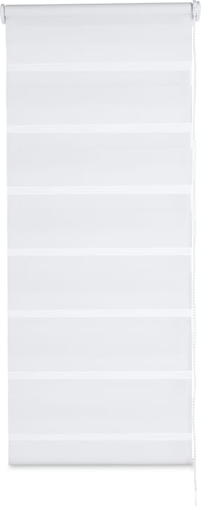 DOUBLE STRIPE Store enrouleur DOUBLE STRIPE Store enrouleur 430747106010 Couleur Blanc Dimensions L: 60.0 cm x H: 160.0 cm Photo no. 1
