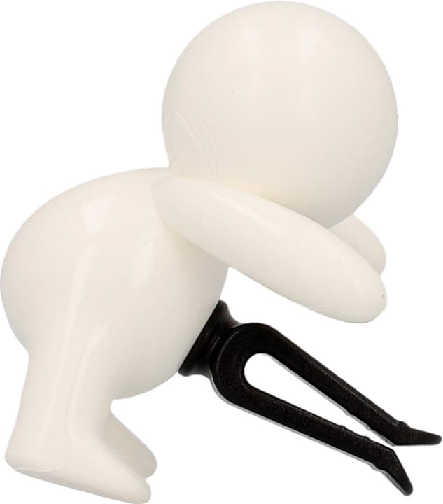 Image of Gigi Muscat Grape Lufterfrischer bei Do it + Garden von Migros