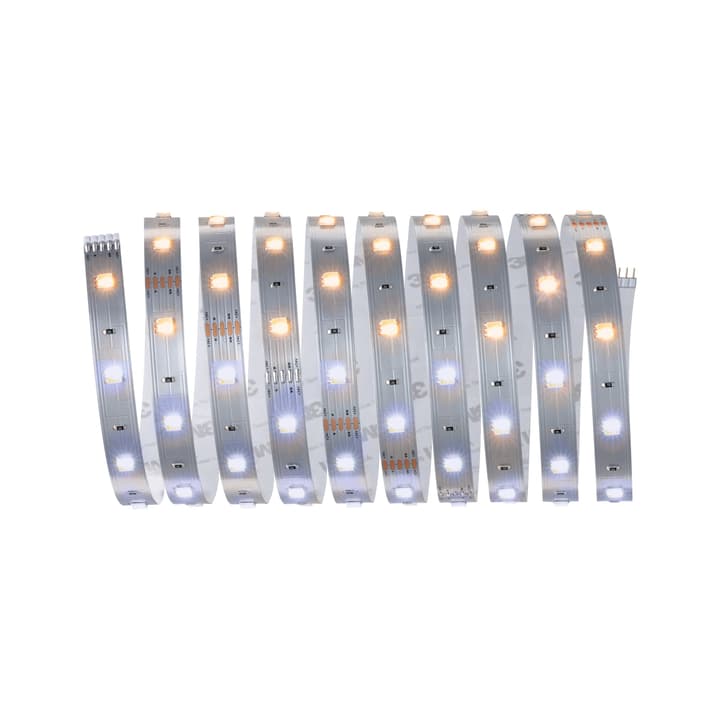Image of Paulmann MaxLED 250 Basisset 3 m, Tuneable White Light-Strip