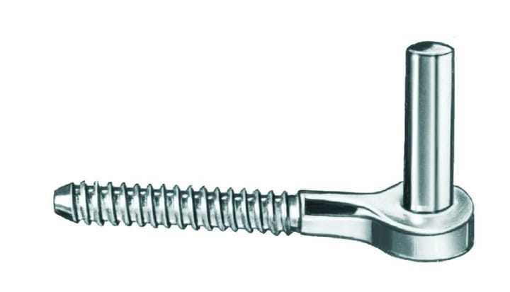 Image of Einschraubkloben für Ladenband verzinkt 160 x 13 mm Ladenbänder bei Do it + Garden von Migros