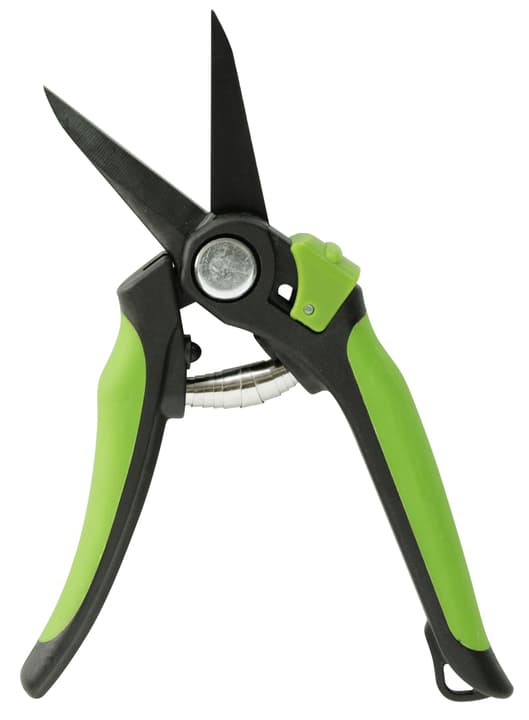 Miogarden Cesoie da giardino Forbici per fiori Cesoie da giardino Forbici per fiori Miogarden 630317400000 N. figura 1
