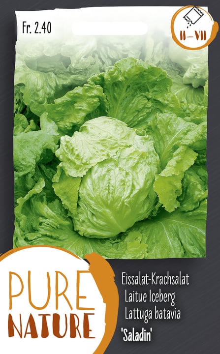 Image of Eissalat-Krachsalat 'Saladin' 1g Gemüsesamen bei Do it + Garden von Migros