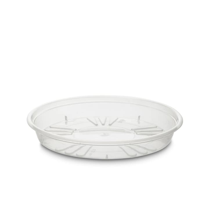 SAUCER Unterteller SAUCER Unterteller 382023400000 Grösse B: 21.0 cm x T: 21.0 cm x H: 3.1 cm Farbe Transparent Bild Nr. 1