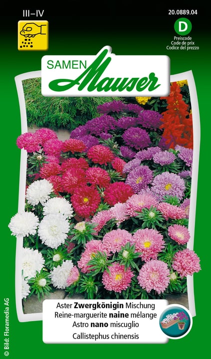 Image of Samen Mauser Aster Zwergkönigin Mischung Blumensamen bei Do it + Garden von Migros