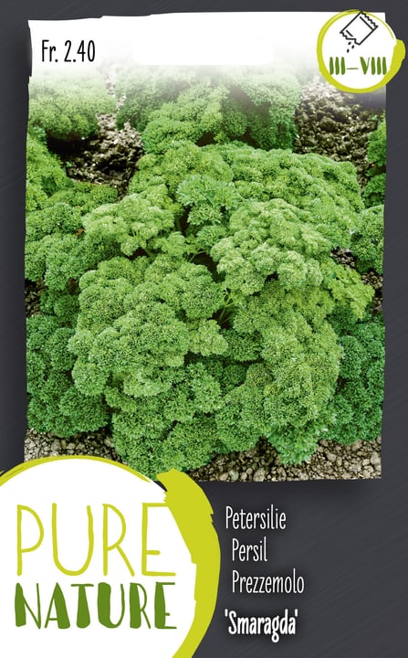 Image of Petersilie 'Smaragda' dunkelgrün 5g Kräutersamen bei Do it + Garden von Migros