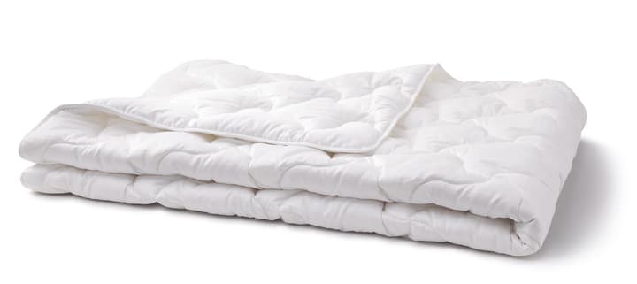 BAMBUS MEDIUM WARM Duvet aus Viskose BAMBUS MEDIUM WARM Duvet aus Viskose 451749712310 Farbe Weiss Grösse B: 160.0 cm x T: 210.0 cm Bild Nr. 1
