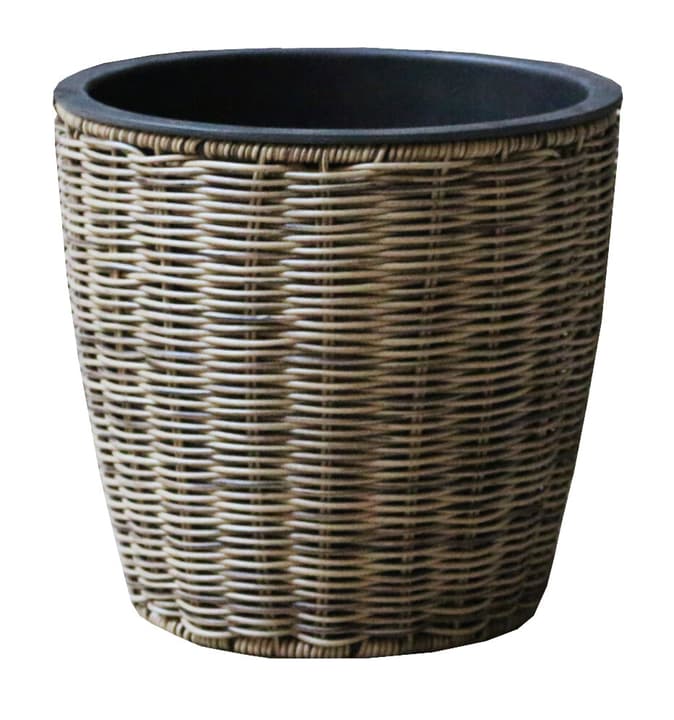 Image of Blumentopf Polyrattan bei Do it + Garden von Migros