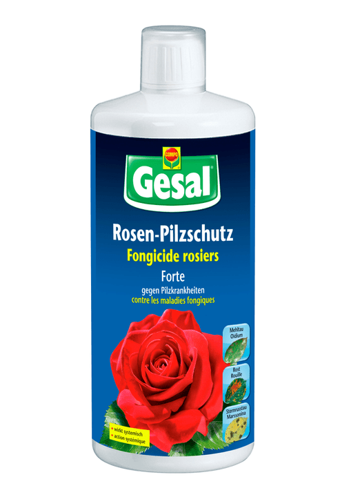 Image of Compo Gesal Rosen-Pilzschutz Forte, 1 l Pilzkrankheiten bei Do it + Garden von Migros