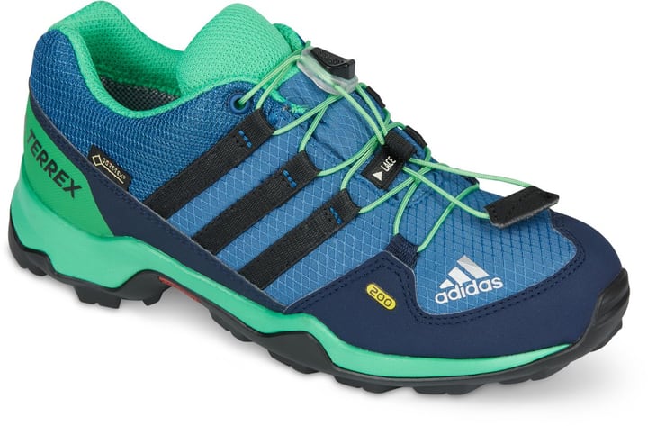 adidas terrex gtx 200