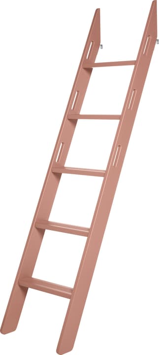 Flexa FLEXA POPSICLE Échelle pour lit surélevé FLEXA POPSICLE Échelle pour lit surélevé Flexa 40497420000017 Photo n°. 1