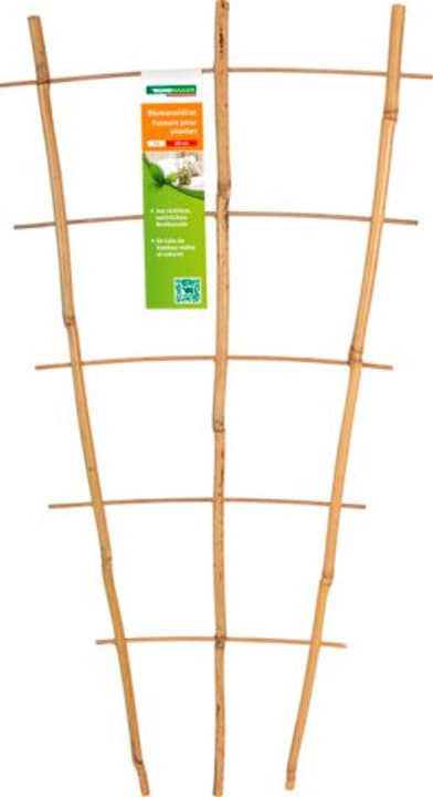 Image of Windhager Bambus-Blumenstütze Pflanzenstütze