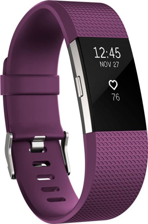 Fitbit Charge 2 Prugna / Argento Large Charge 2 Prugna / Argento Large Fitbit 785300131187 N. figura 1