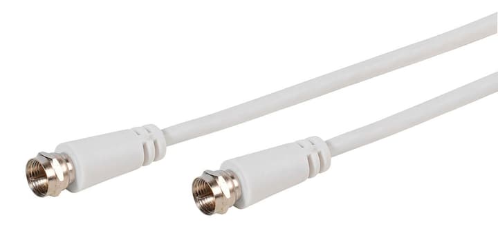Vivanco STC FV50-N raccordement antenne SAT Kabel STC FV50-N raccordement antenne SAT Kabel Vivanco 770805300000 Photo no. 1