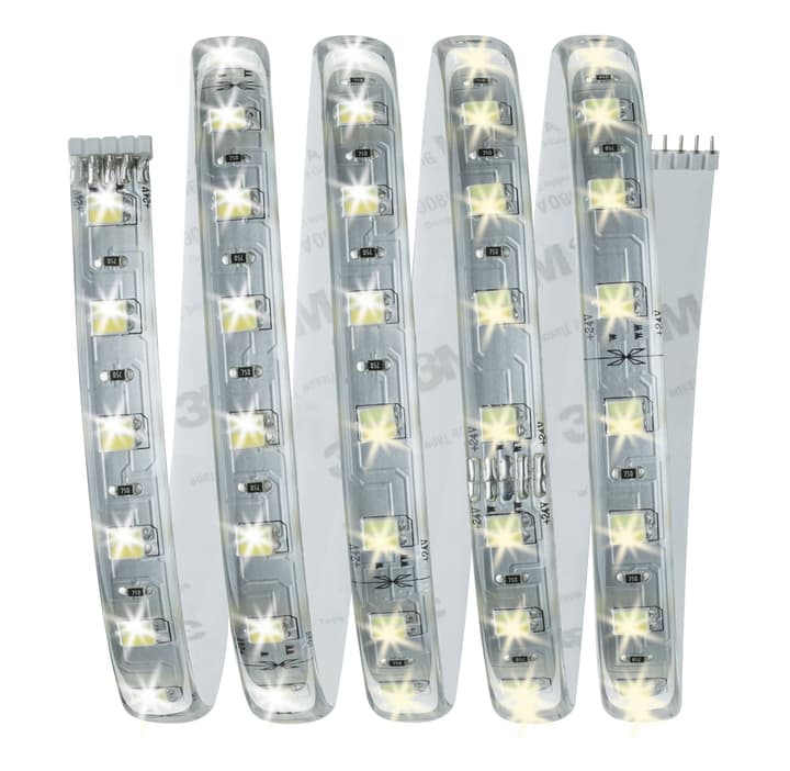 Image of Paulmann MaxLED Basisset 1,5 m, Tuneable White Light-Strip
